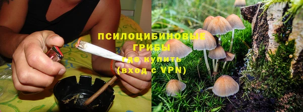прущий лед Алексеевка