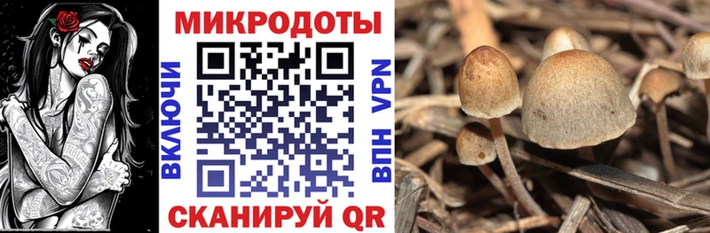 Псилоцибиновые грибы MAGIC MUSHROOMS Калининск
